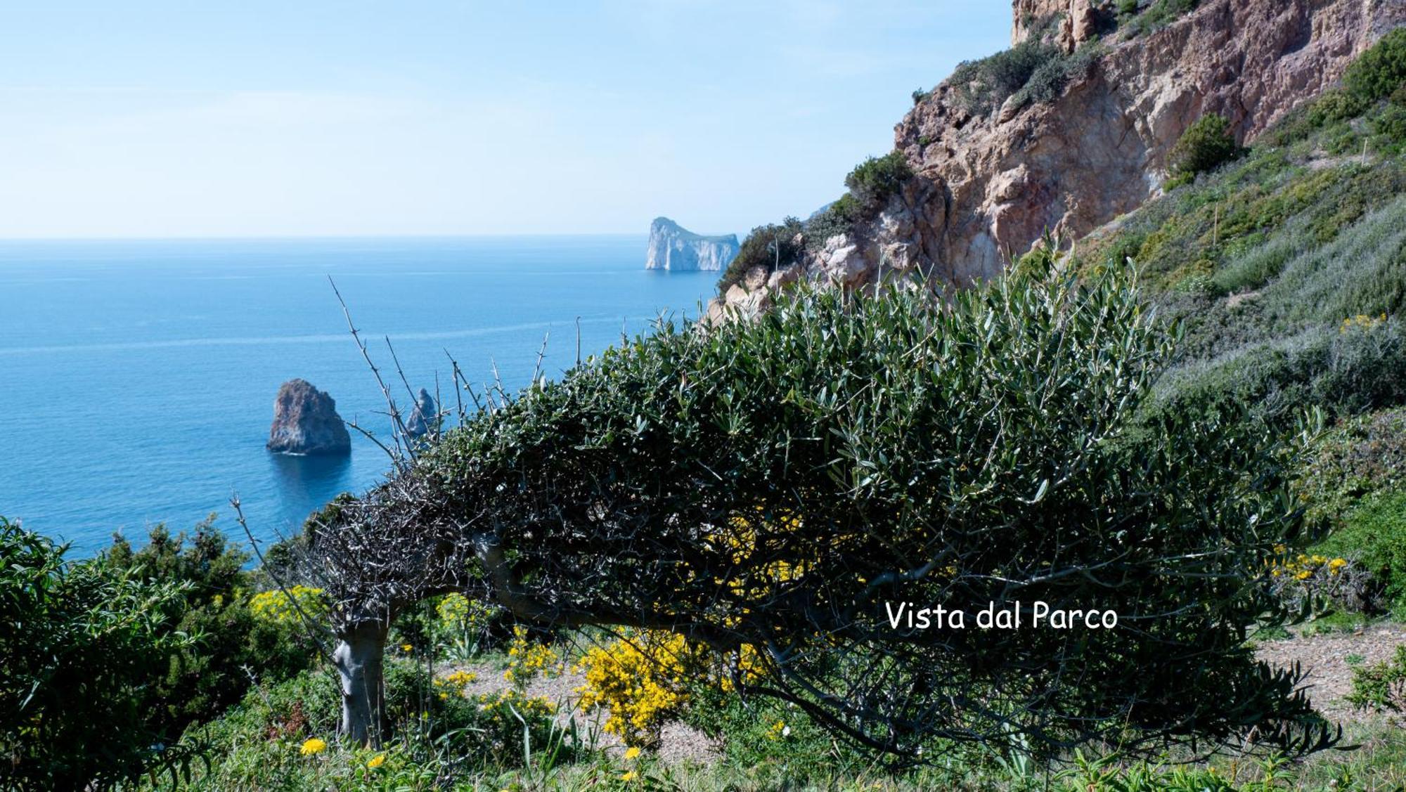 Il Dolce Risveglio Tanca Piras Villa Nebida ภายนอก รูปภาพ